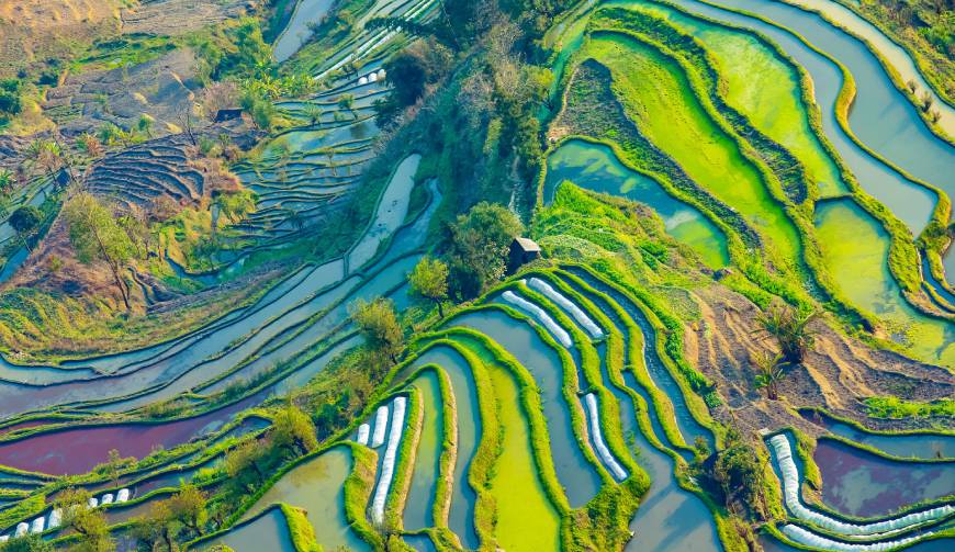 走进且末县TVC拍摄：解锁本地化场景与创意镜头的完美融合